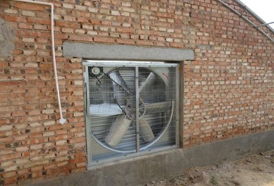 シエメンスモーターシルバー温室換気装置付きの48インチ壁掛けAC抽出扇風機